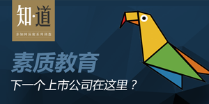 素質(zhì)教育：下一個上市公司在這里？